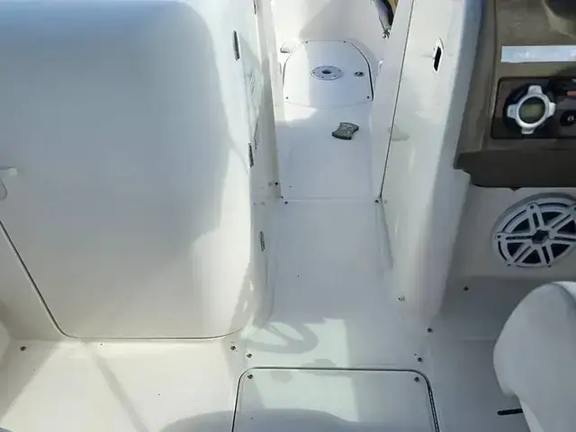 Sea Ray 260 Sundeck