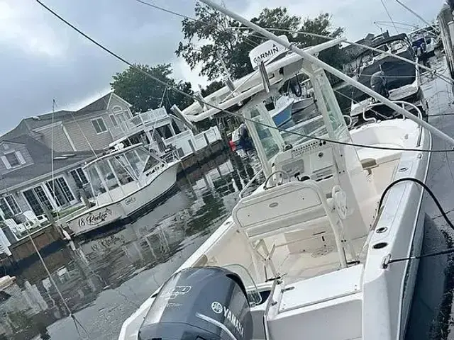 Everglades Boats 230 CC