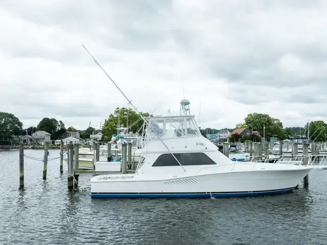 Viking 47 Convertible