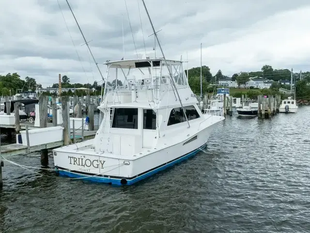 Viking 47 Convertible