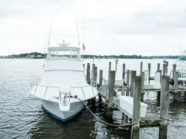 Viking 47 Convertible