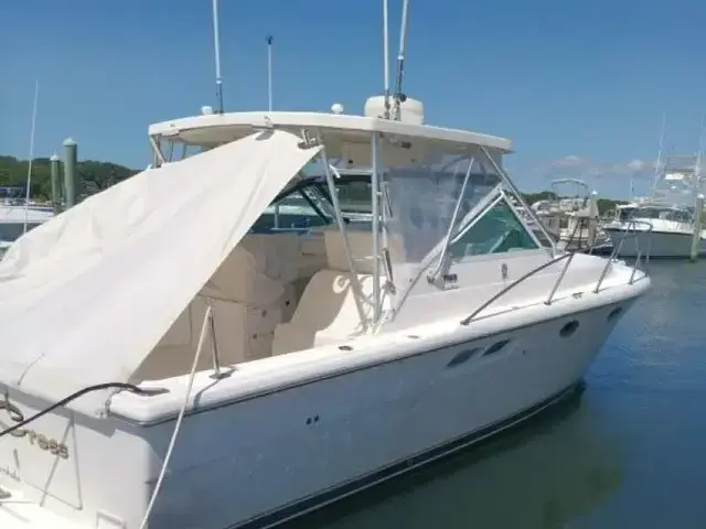 Tiara 31 Open