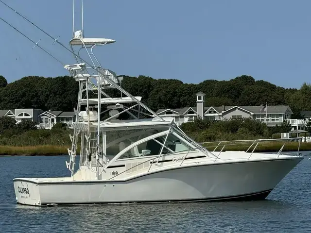 Carolina Skiff 35