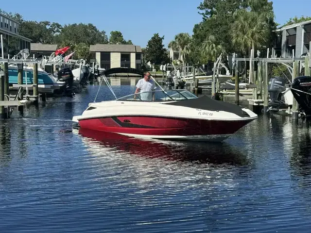 Sea Ray 240 Sundeck