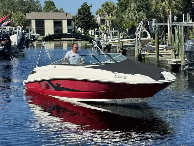 Sea Ray 240 Sundeck