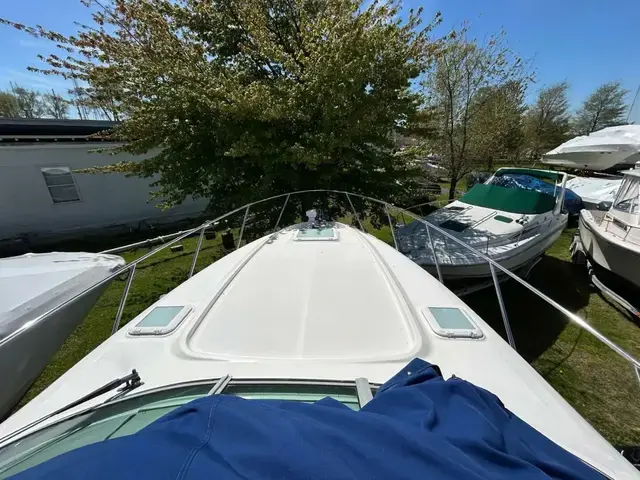 Bayliner Ciera 305 SB