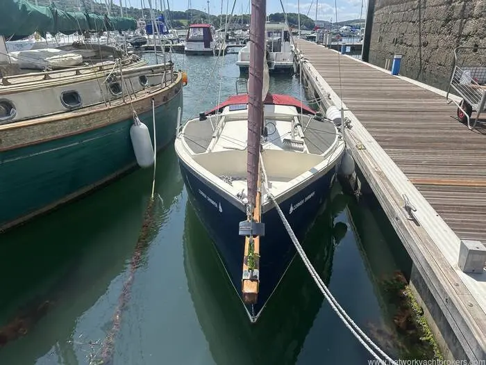 1995 Performance shrimper