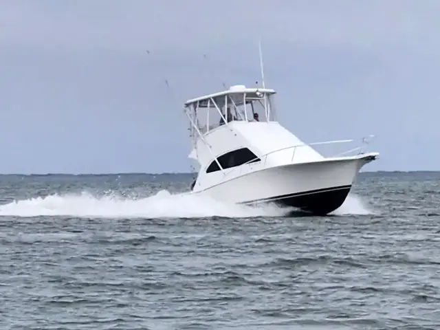 Luhrs 34 Convertible