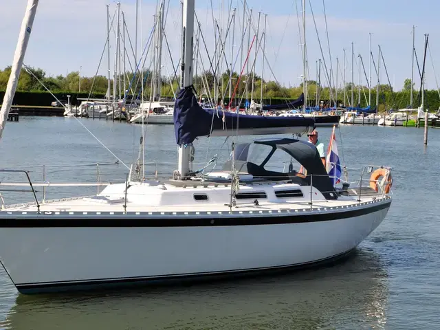 Spirit 36