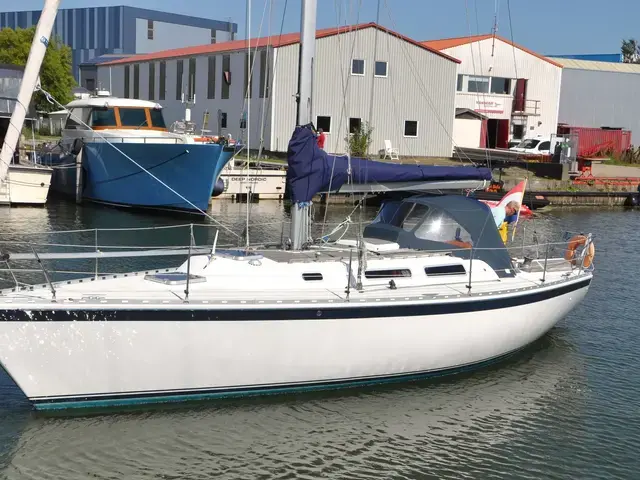 Spirit 36