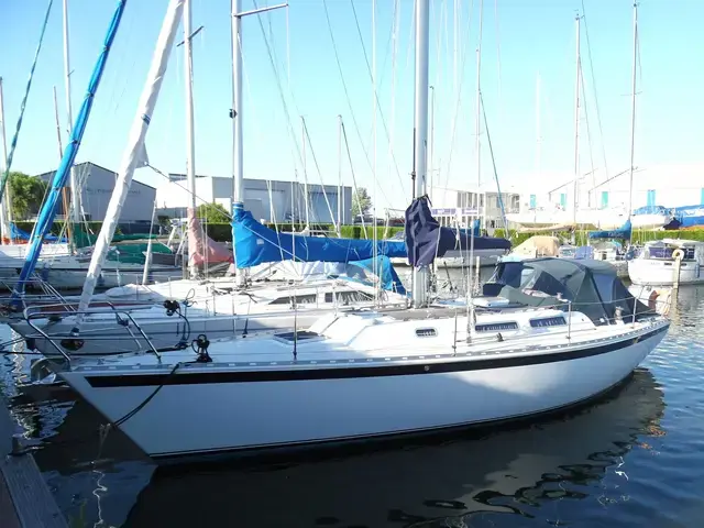 Spirit 36