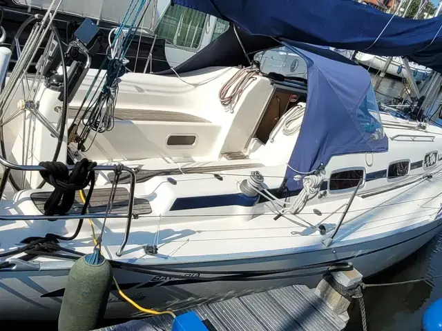 Bavaria 35