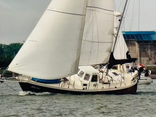 Norseman 37