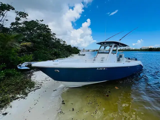 Everglades Boats 295 CC