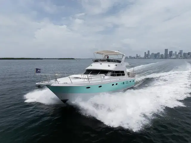 Johnson 50'