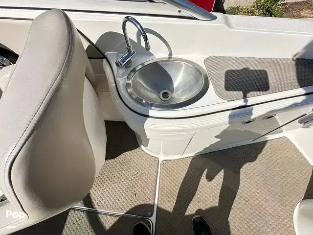 Sea Ray 260 Sundeck