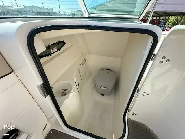 Sea Ray 260 Sundeck