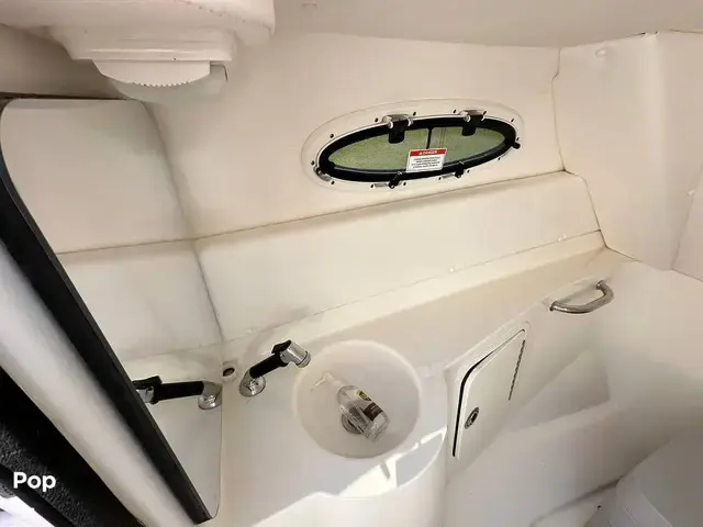 Sea Ray 260 Sundeck