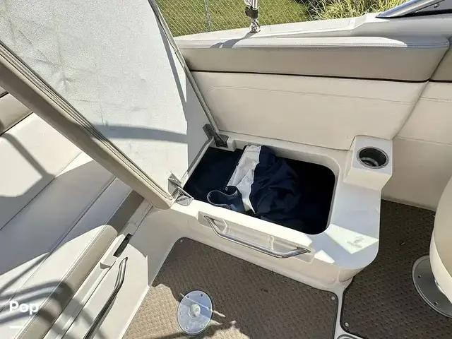 Sea Ray 260 Sundeck