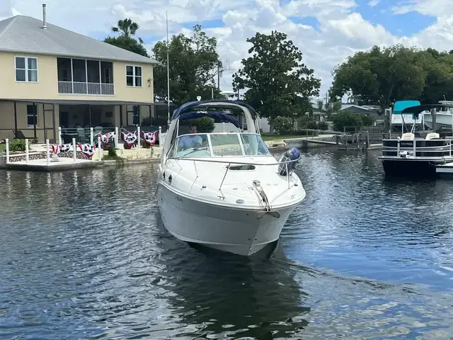 Sea Ray 260 Sundancer