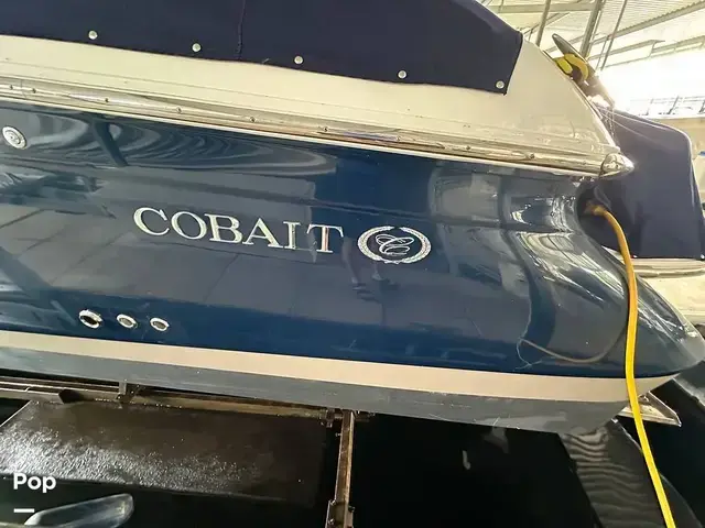 Cobalt 336