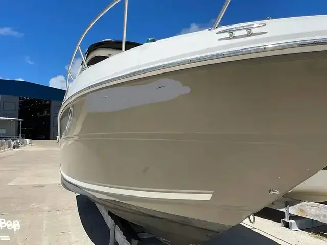 Sea Ray 260 Sundancer