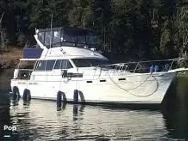 Bayliner 3818