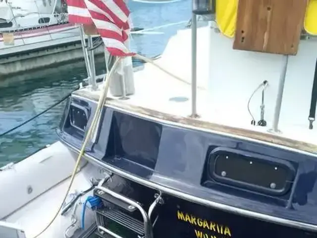 Catalina Morgan 41