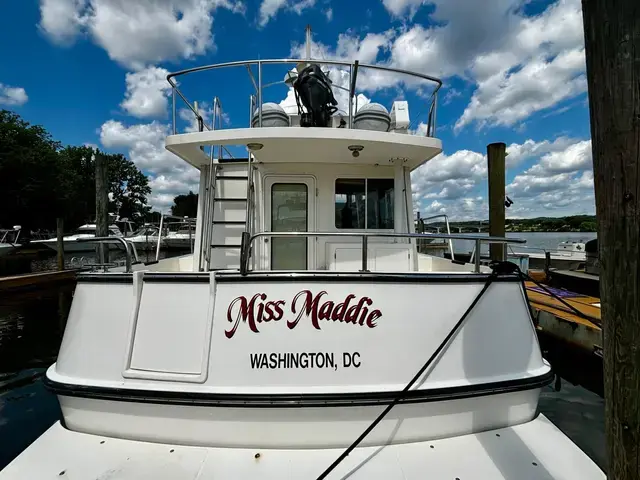 Nordic Tug 42'