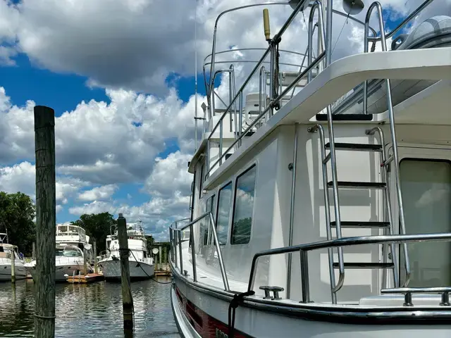 Nordic Tug 42'