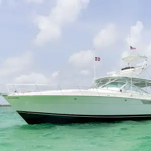 1994 Bertram 46'