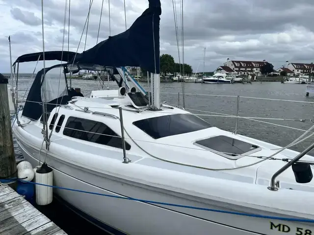 Hunter 29