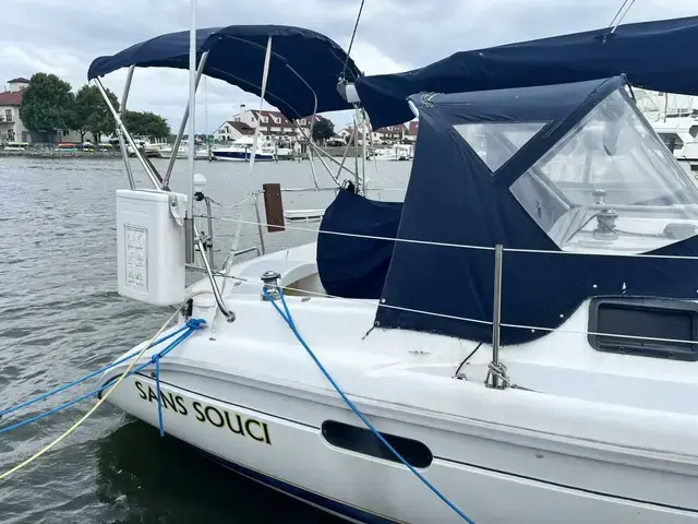 Hunter 29