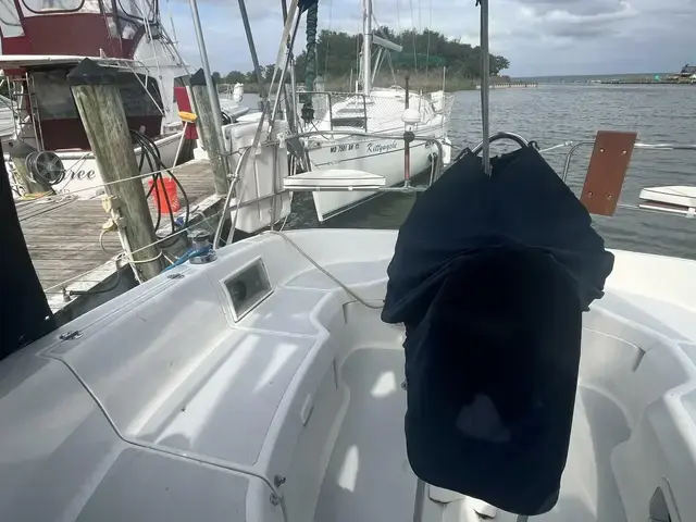 Hunter 29