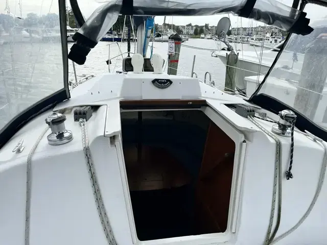 Hunter 29