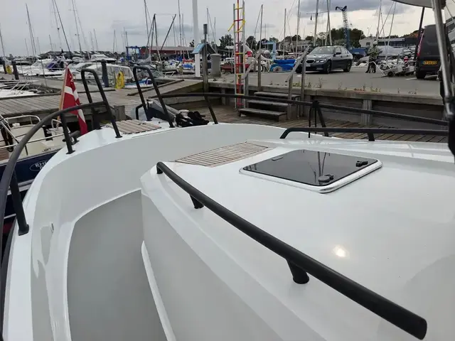 Sargo 33