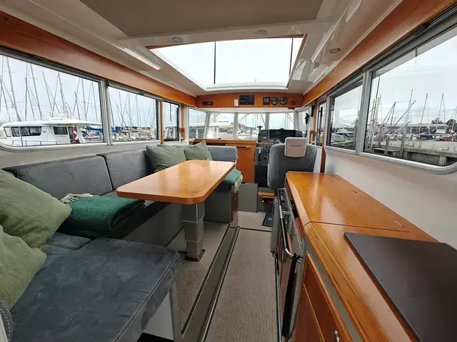 Sargo 33