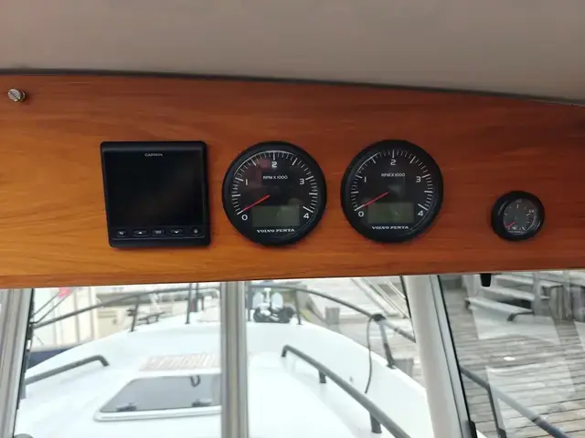 Sargo 33