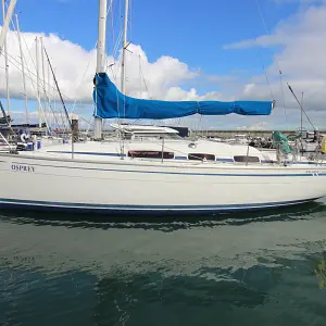 2008 Bavaria 31