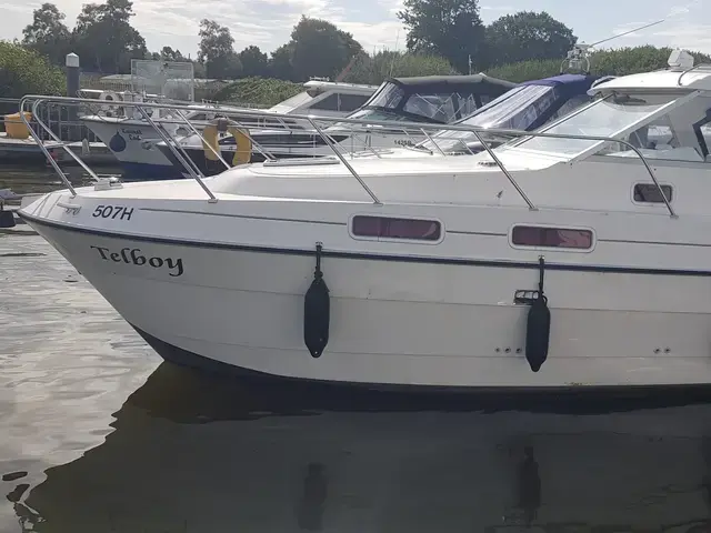 Shadow 26