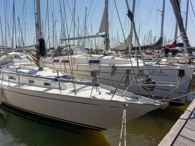 Contessa 32