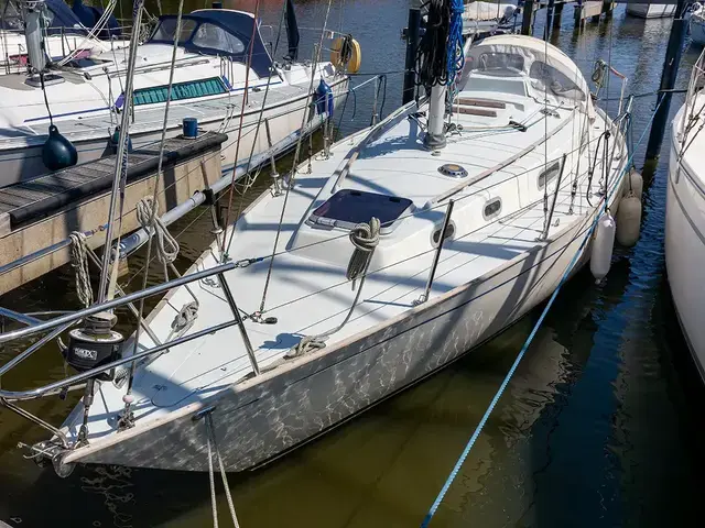 Contessa 32