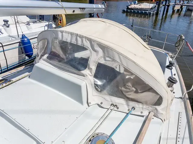 Contessa 32