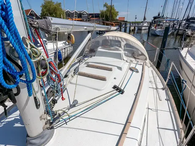 Contessa 32