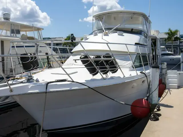 Hatteras 50