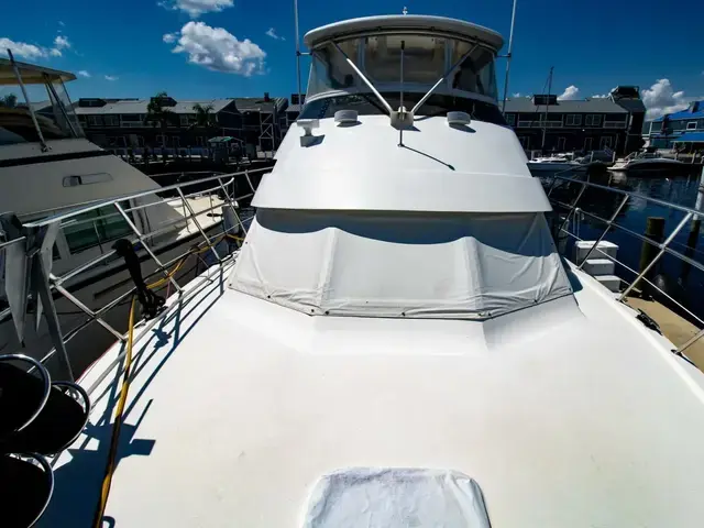 Hatteras 50