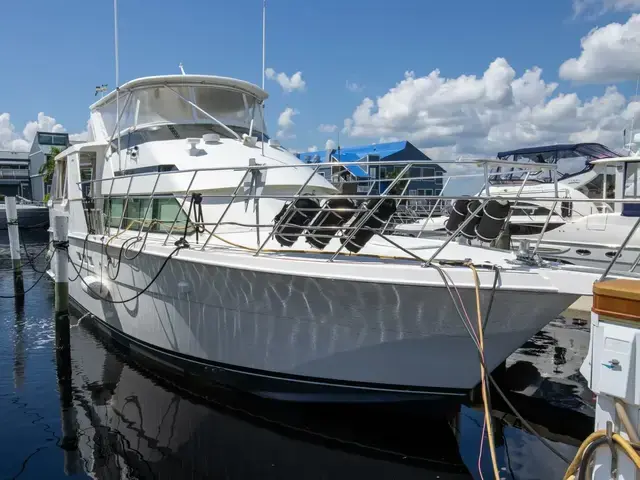 Hatteras 50