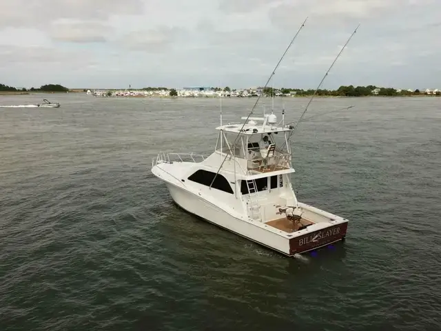 Cabo Flybridge