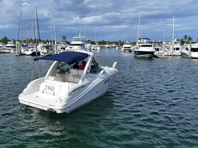 Sea Ray 310 Sundancer