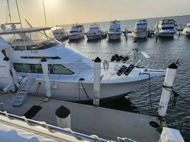 Hatteras 50